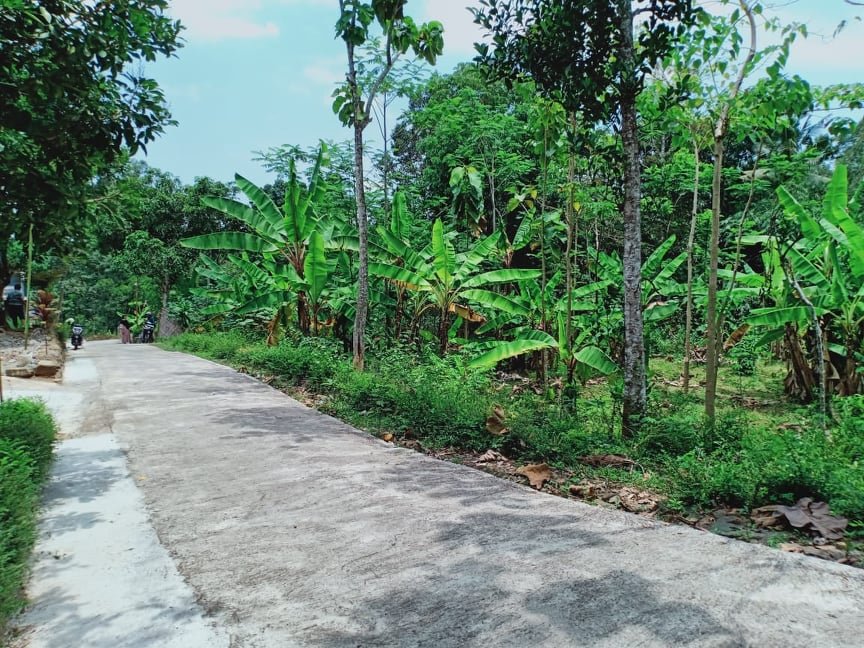Jual Tanah Dekat Wisata Kebun Durian Mojogedang Karanganyar - 7