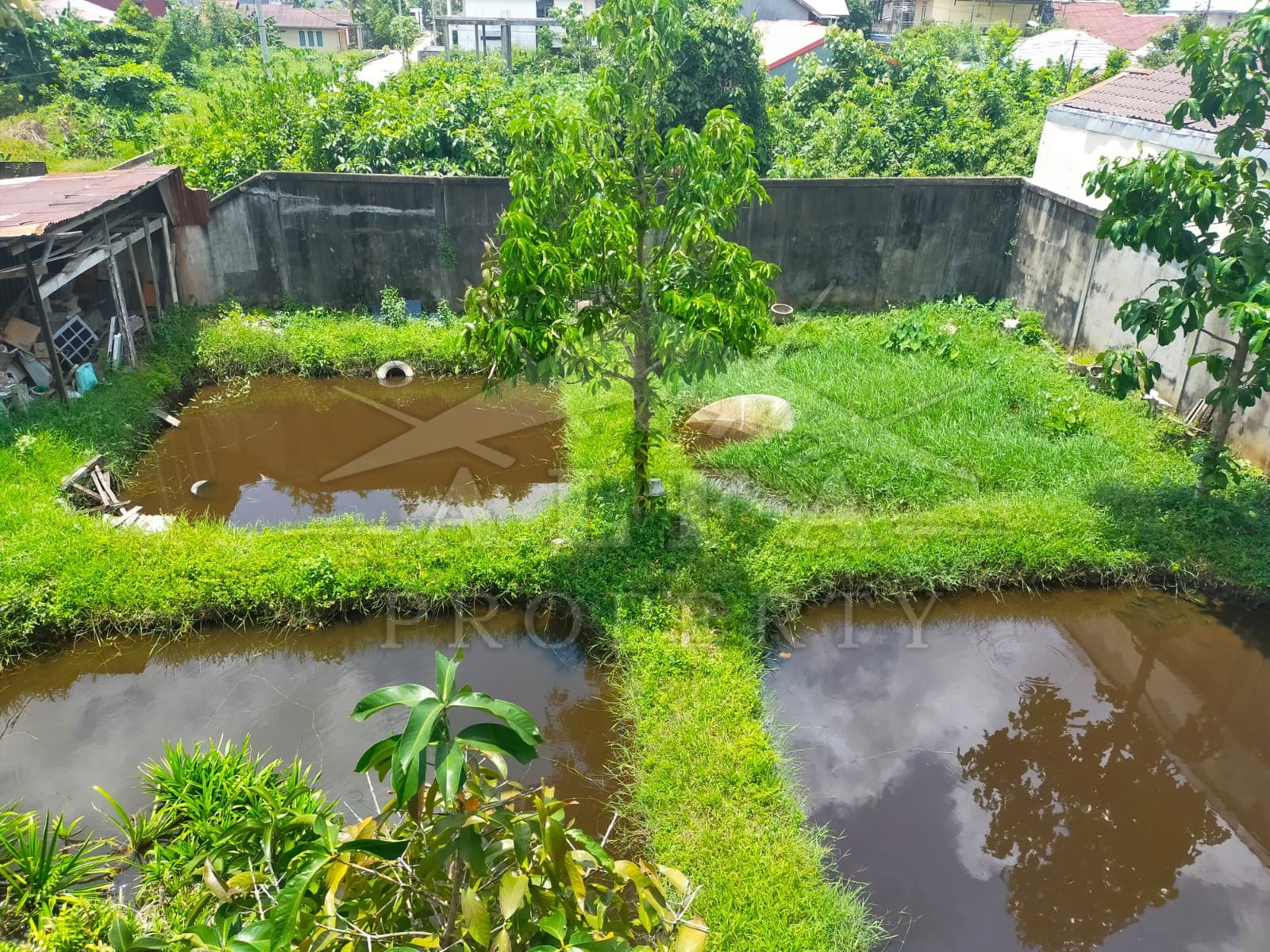 Rumah Parit Haji Husin 1, Gg. Sejahtera, Pontianak, Kalimantan Barat - 8