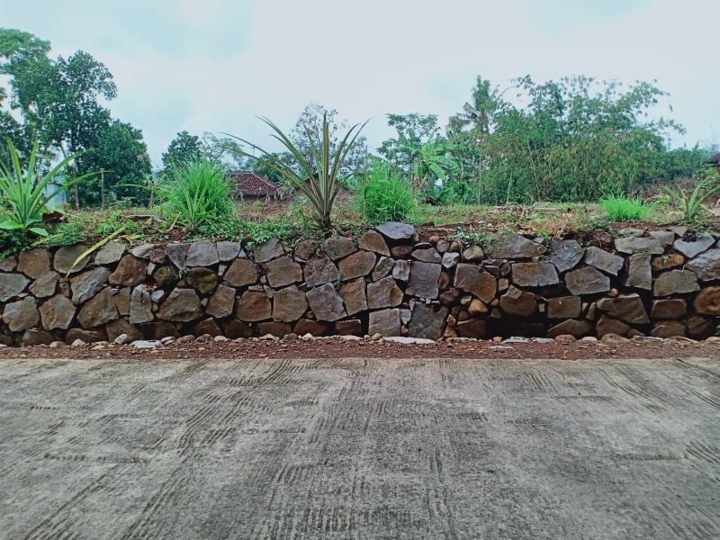 Jual Tanah Datar Cocok Untuk Kavling Sambirejo Sragen - 4