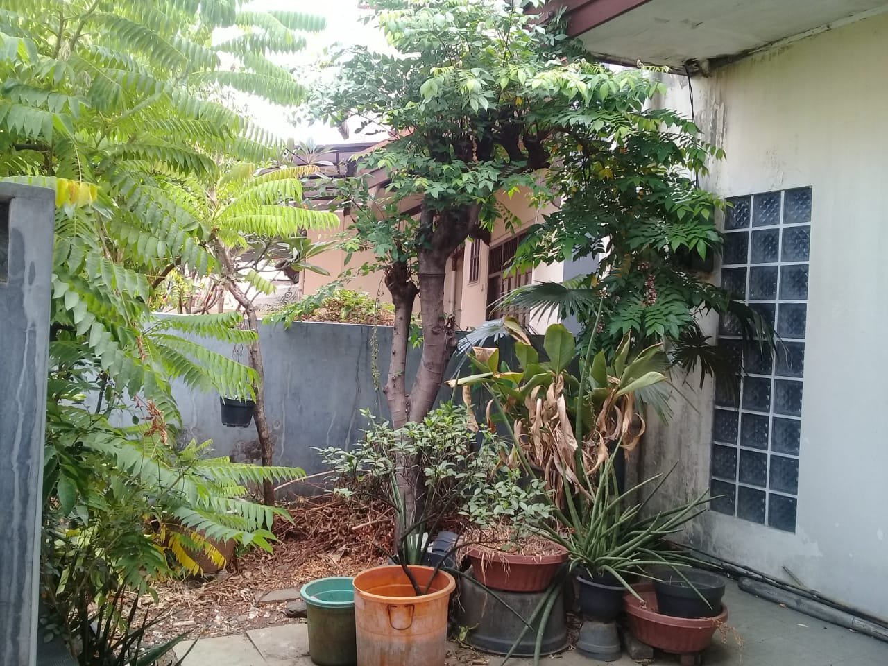 Rumah  seken murah dikawasan Jakarta Selatan hanya 1,5 Milyar - 3