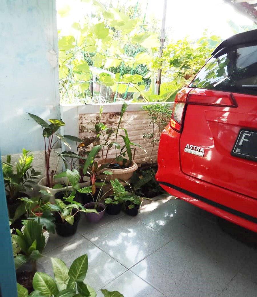 Rumah Dijual Cepat Murah dan Siap Huni di Citra Indah City Bukit Heliconia Bogor - 5