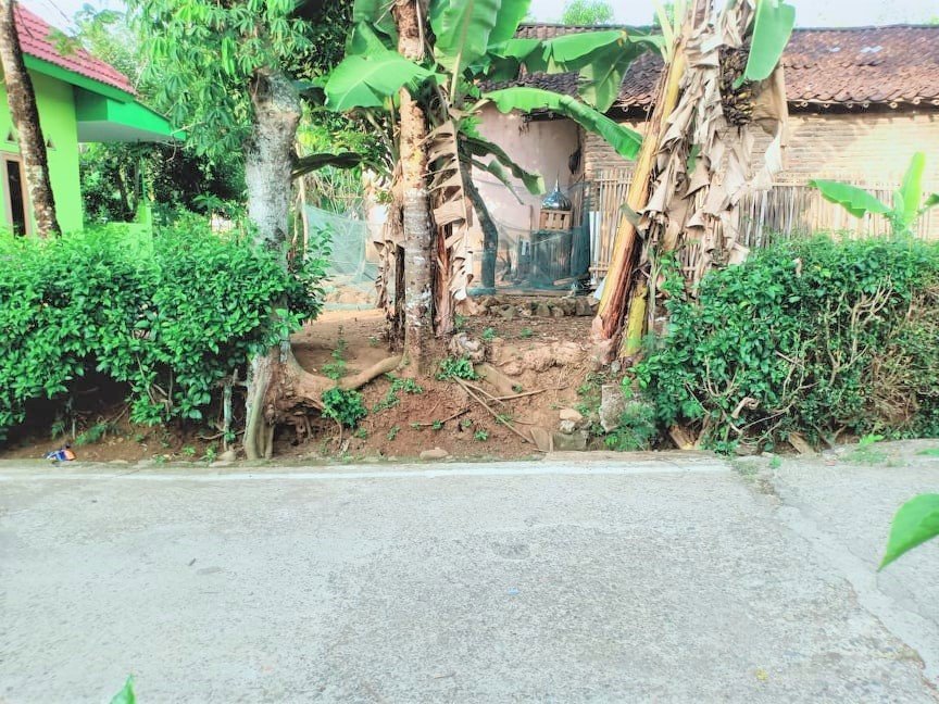 Jual Tanah 180m² Batujamus Kedawung Sragen - 2
