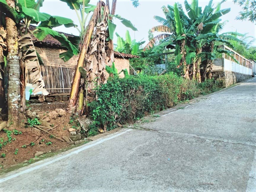 Jual Tanah 180m² Batujamus Kedawung Sragen - 4