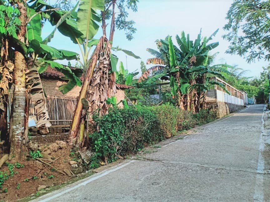 Jual Tanah 180m² Batujamus Kedawung Sragen - 5