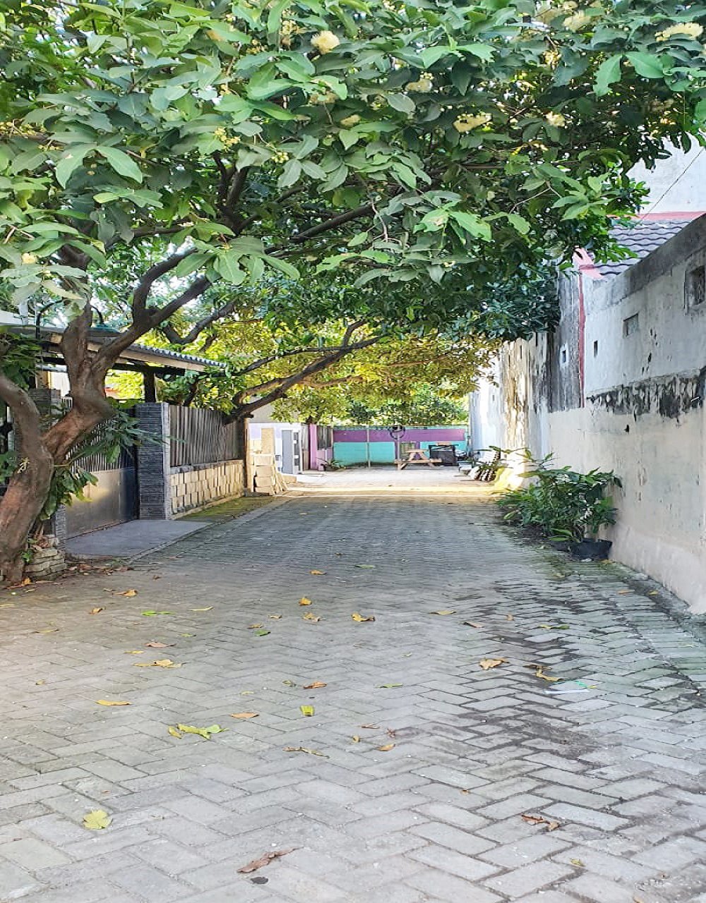 Dijual Rumah Baru Siap Huni di Wiyung Kota Surabaya Dekat SMA Negeri 22 Surabaya - 3