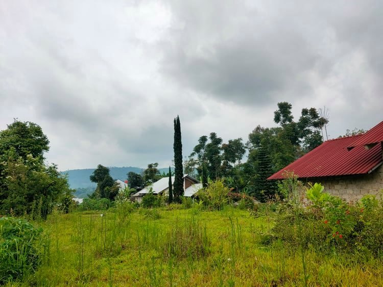 Jual Tanah Dekat Candi Sukuh Ngargoyoso Karanganyar - 5