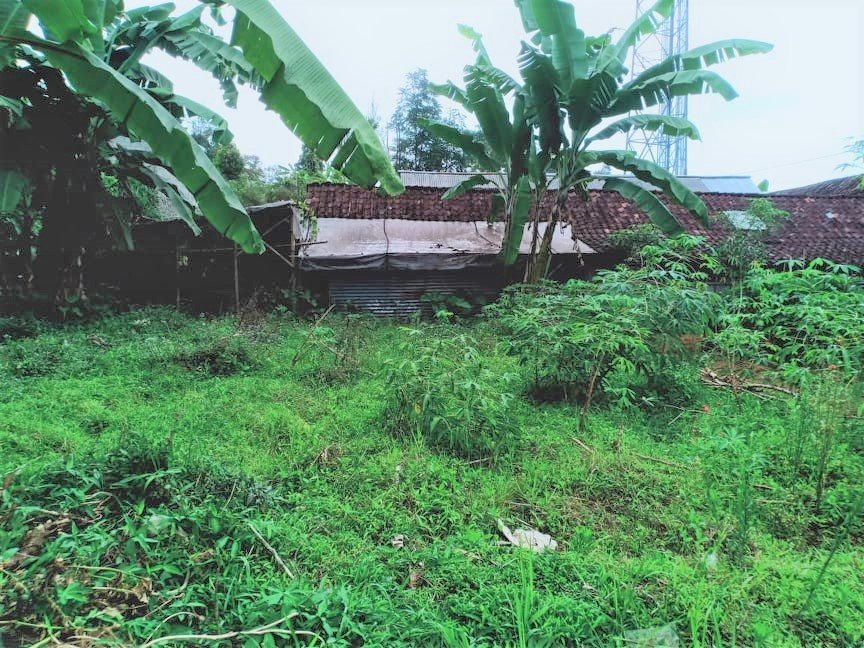 Jual Tanah Dekat Candi Sukuh Ngargoyoso Karanganyar - 3