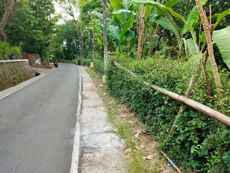 Dijual Tanah Subur Timur Pasar Jambangan Sragen - 4