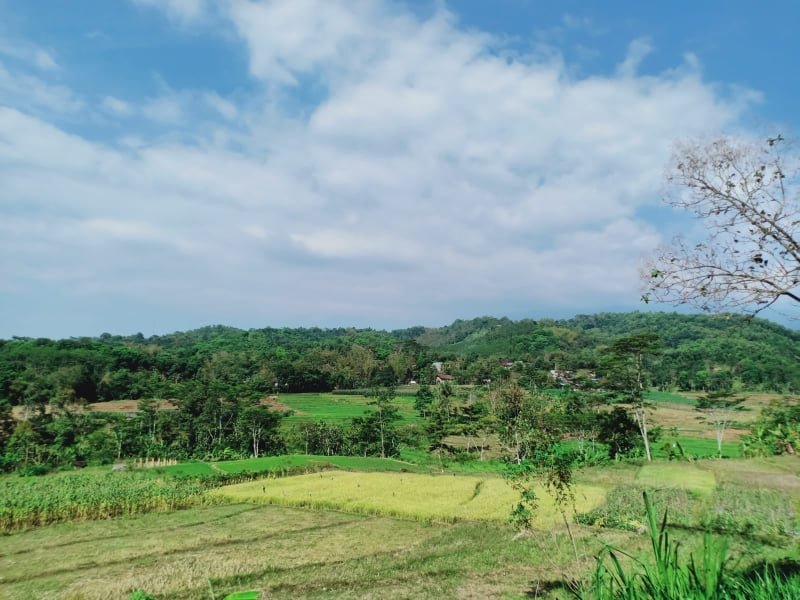 Jual Tanah di Kota Wisata Matesih Karanganyar - 4