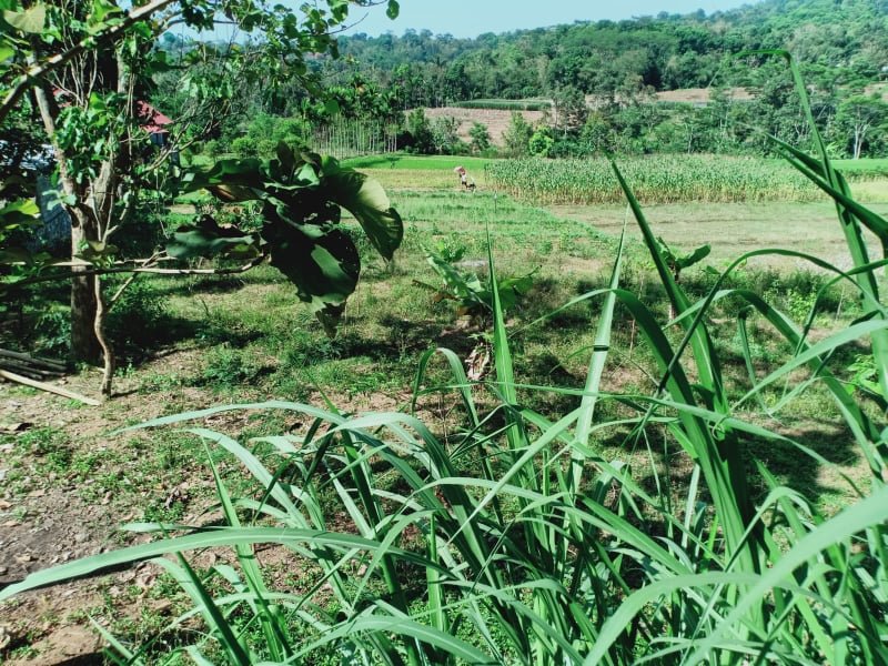 Jual Tanah di Kota Wisata Matesih Karanganyar - 3