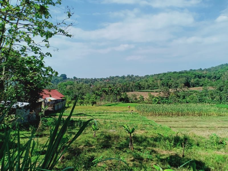 Jual Tanah di Kota Wisata Matesih Karanganyar - 6