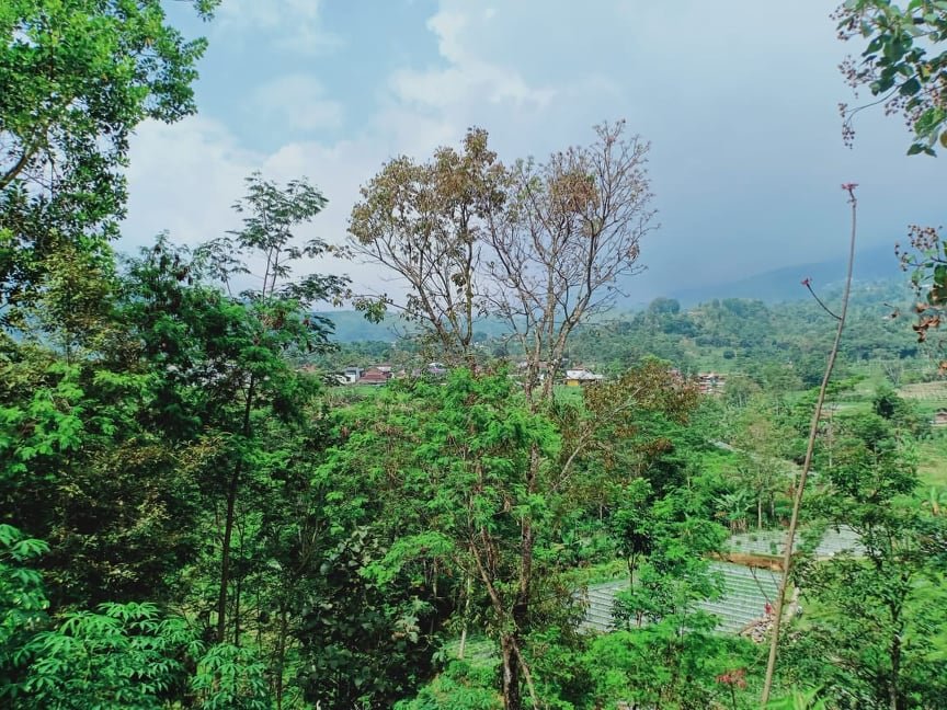 Dijual Tanah 100m² Cocok di Kavling Kemuning Ngargoyoso Karanganyar - 4