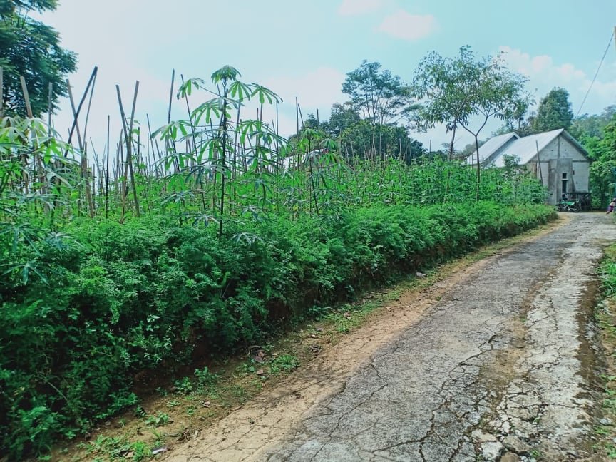 Dijual Tanah 100m² Cocok di Kavling Kemuning Ngargoyoso Karanganyar - 5