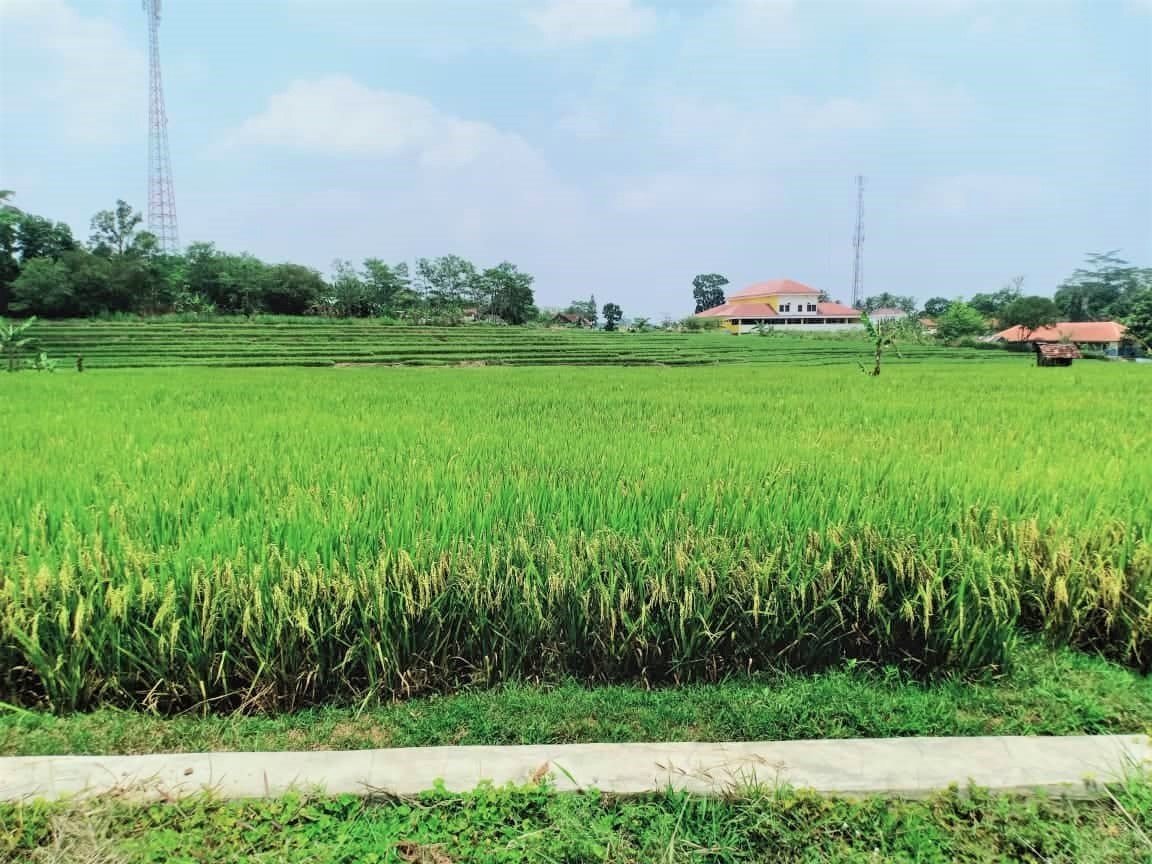 Jual Tanah Cocok untuk Villa Mojogedang Karangpandan Karanganyar - 5