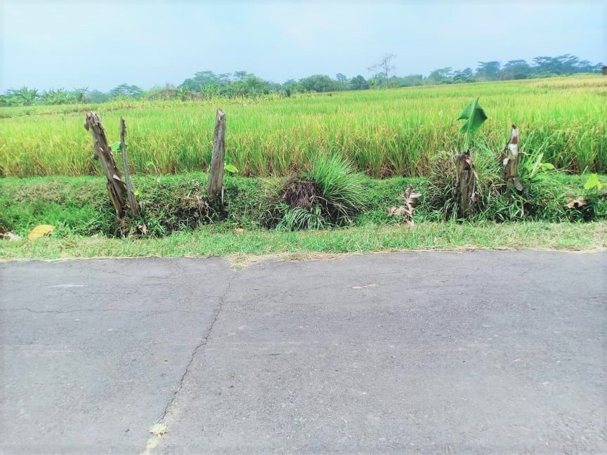 Jual Tanah Cocok untuk Villa Mojogedang Karangpandan Karanganyar - 3