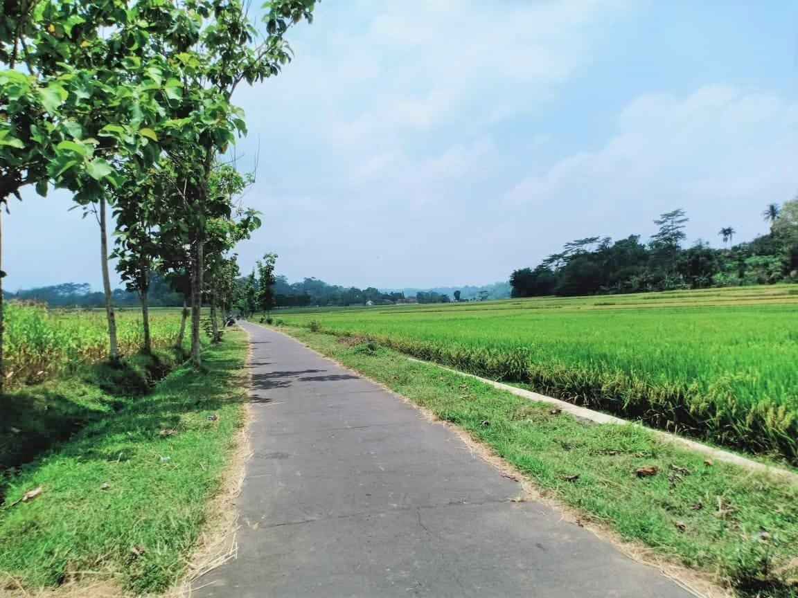 Jual Tanah Cocok untuk Villa Mojogedang Karangpandan Karanganyar - 6