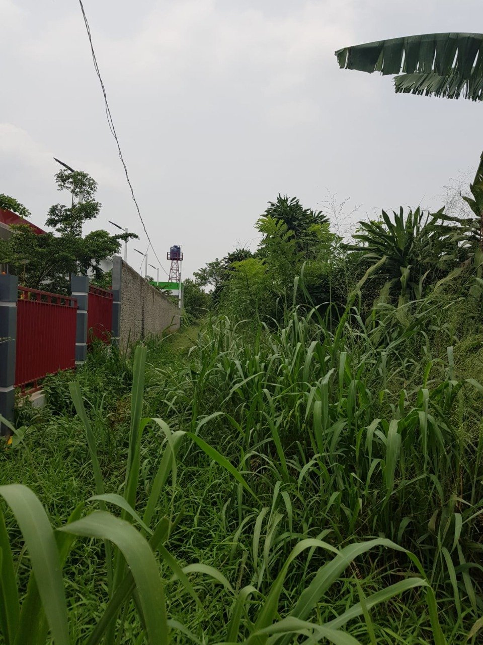 Jual Tanah Murah Rawakalong Gunung Sindur, Bogor - 3