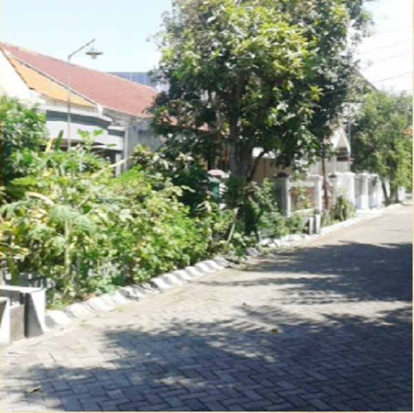 Rumah Dijual + 7 Kamar Kost2an di Medokan Asri Dekat UPN Veteran Surabaya dan STIKOM - 6