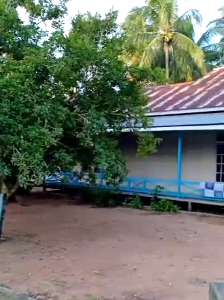 Tanah Tepi Jalan Mempawah, Pontianak, Kalimantan Barat - 2