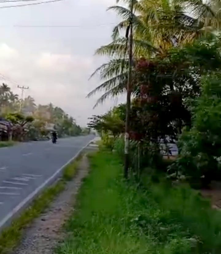 Tanah Tepi Jalan Mempawah, Pontianak, Kalimantan Barat - 7
