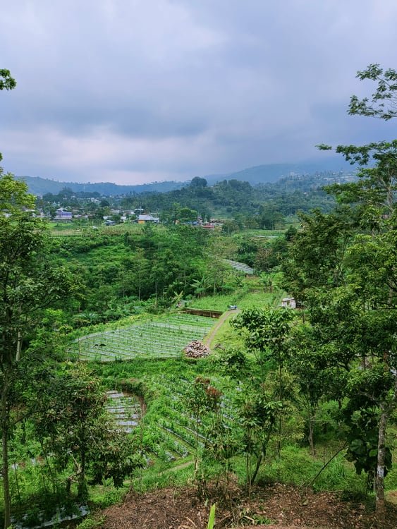 Jual Tanah Datar 164m² Cocok untuk Villa  Kemuning Ngargoyoso Kra - 3