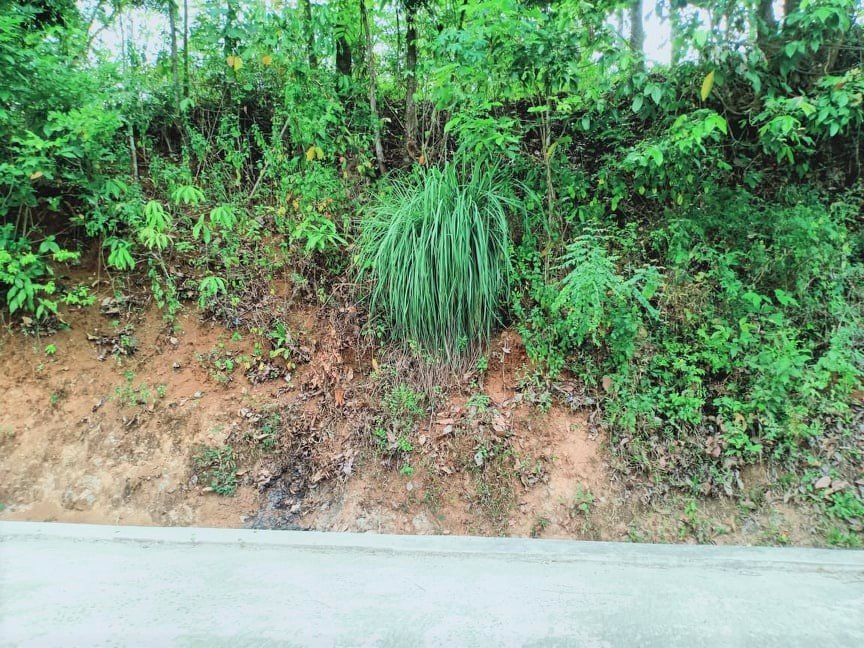 Dijual Tanah Cocok dibangun Villa Mojogedang Karanganyar - 2