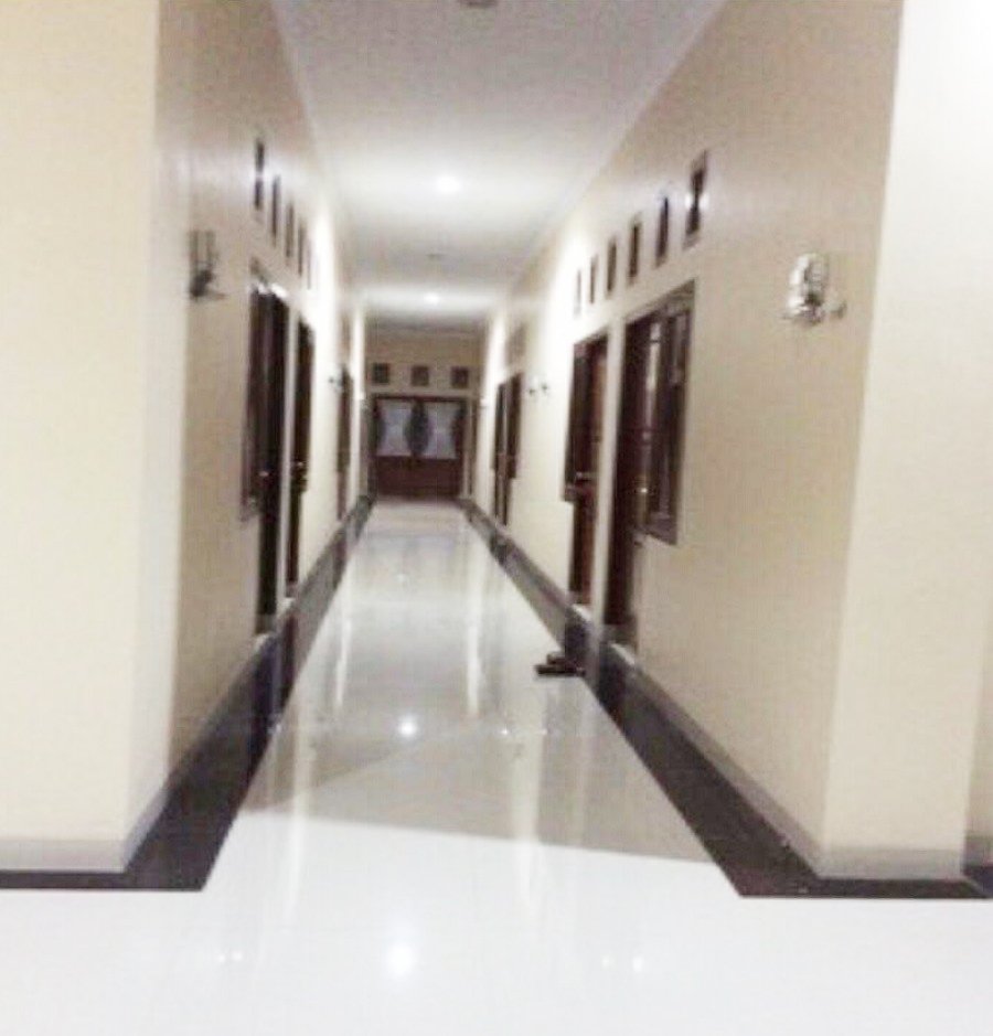 Kost / Homestay di Kota Ternate Dekat Universitas Khairun dan Politeknik Wiratama Maluku Utara - 5