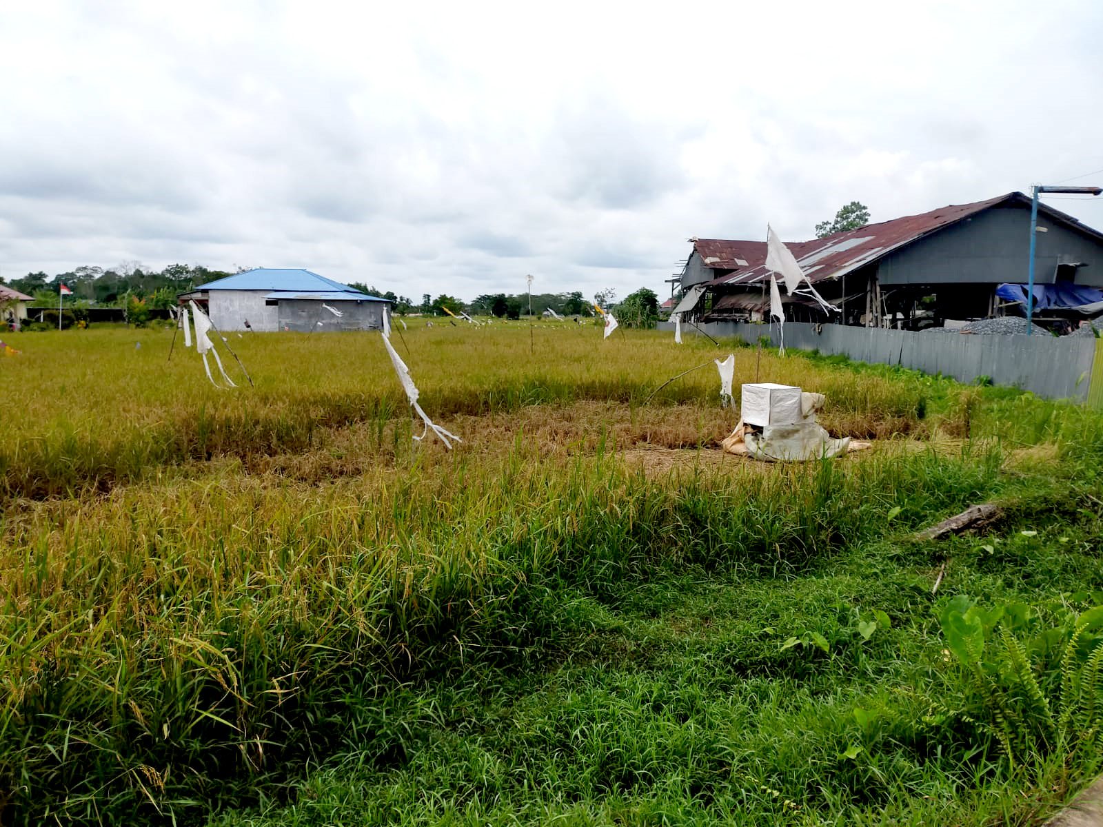 Tanah Ahmad Yani 2, Pontianak, Kalimantan Barat - 2