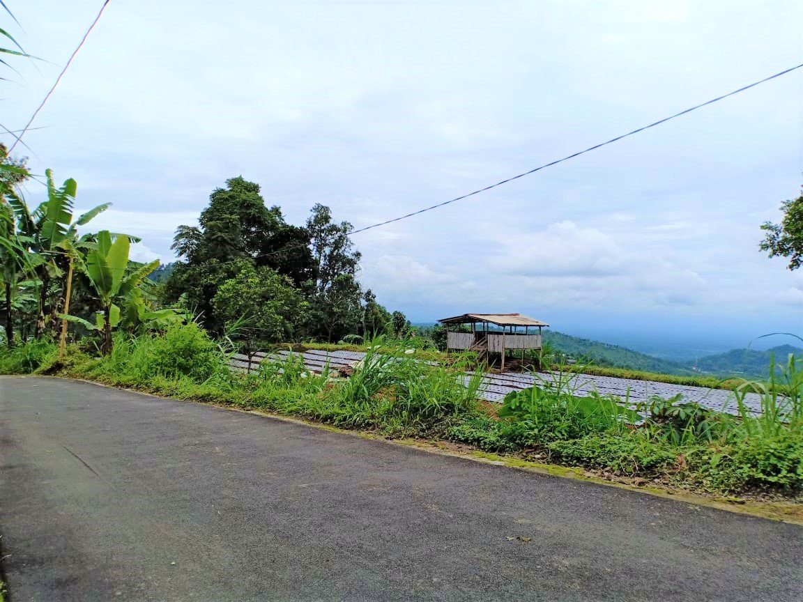 Jual Tanah Strategis View Perbukitan Kemuning Ngargoyoso Karanganyar - 3