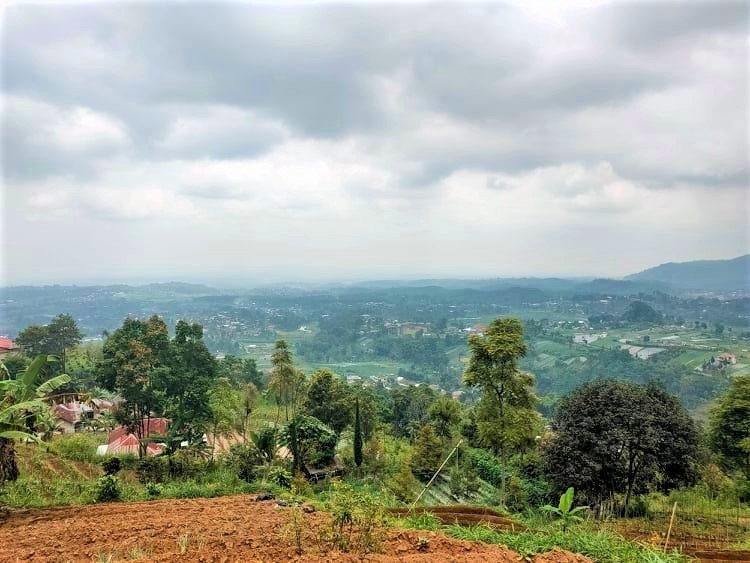 Jual Tanah Strategis View Perbukitan Kemuning Ngargoyoso Karanganyar - 4