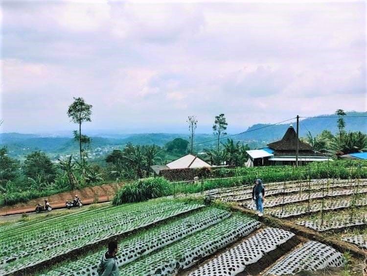 Jual Tanah Strategis View Perbukitan Kemuning Ngargoyoso Karanganyar - 2