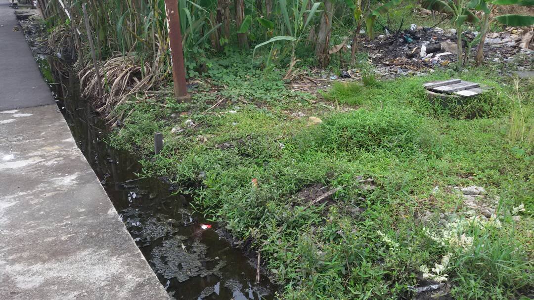 Tanah Usaha Bersama, M. Yamin, Pontianak, Kalimantan Barat - 4