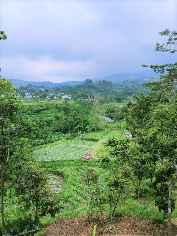 Jual Tanah Datar Strategis dibangun Villa Kemuning Ngargoyoso Karanganyar - 3