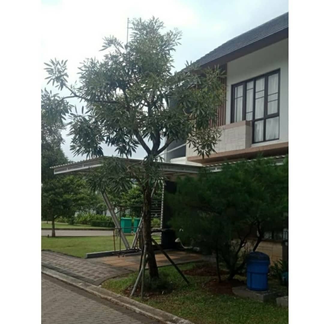 Dijual Cepat Rumah Murah Lokasi Strategis Dekat Aeon Mall BSD City - 5