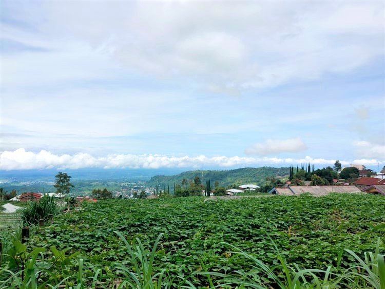 Dijual Tanah Tepi Jl Utama Kemuning Ngargoyoso Karanganyar - 2