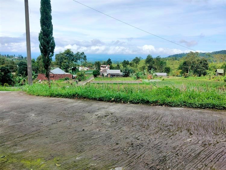 Dijual Tanah Tepi Jl Utama Kemuning Ngargoyoso Karanganyar - 5
