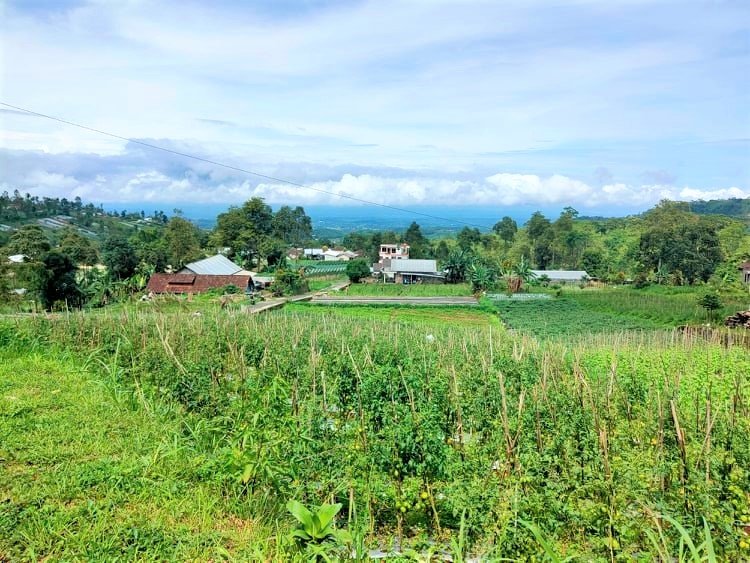 Dijual Tanah Tepi Jl Utama Kemuning Ngargoyoso Karanganyar - 3