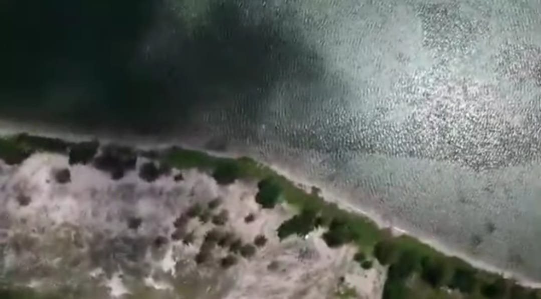 DIJUAL MURAH TANAH PARIWISATA PESISIR PANTAI PULAU BINTAN - TANJUNG PINANG - 9