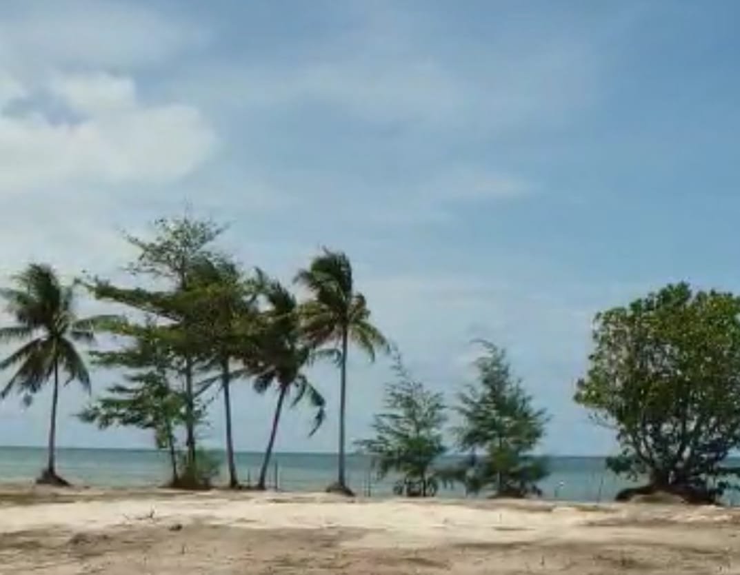 DIJUAL MURAH TANAH PARIWISATA PESISIR PANTAI PULAU BINTAN - TANJUNG PINANG - 4
