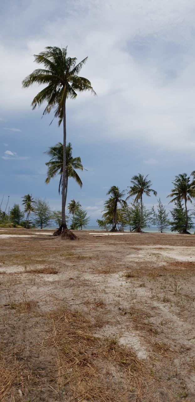 DIJUAL MURAH TANAH PARIWISATA PESISIR PANTAI PULAU BINTAN - TANJUNG PINANG - 3