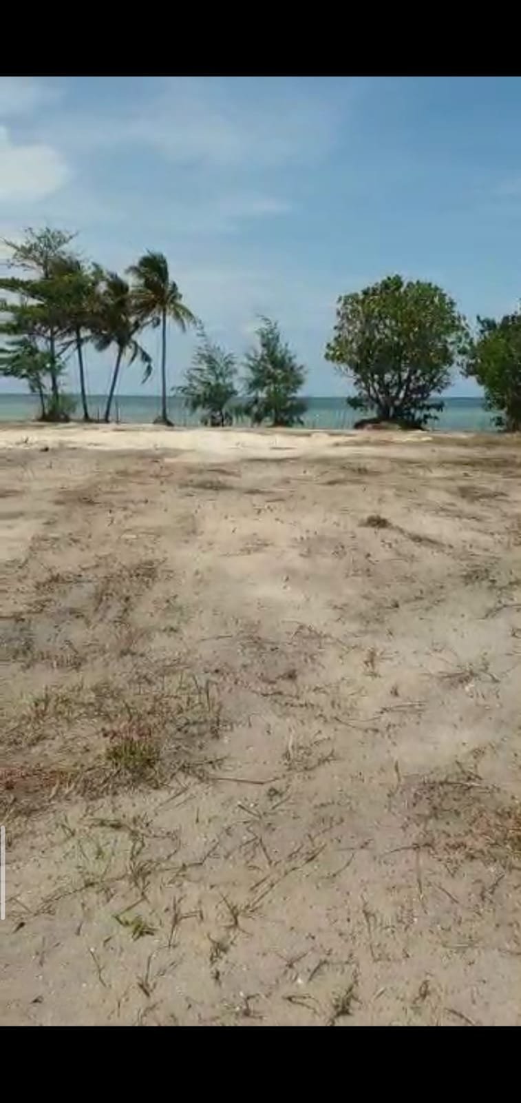 DIJUAL MURAH TANAH PARIWISATA PESISIR PANTAI PULAU BINTAN - TANJUNG PINANG - 5