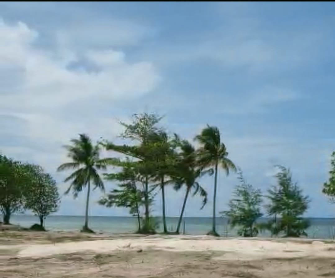 DIJUAL MURAH TANAH PARIWISATA PESISIR PANTAI PULAU BINTAN - TANJUNG PINANG - 7