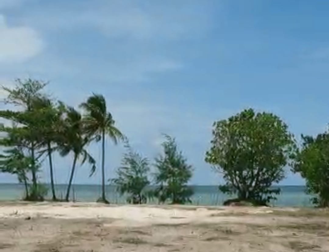 DIJUAL MURAH TANAH PARIWISATA PESISIR PANTAI PULAU BINTAN - TANJUNG PINANG - 6