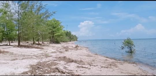 DIJUAL MURAH TANAH PARIWISATA PESISIR PANTAI PULAU BINTAN - TANJUNG PINANG - 2