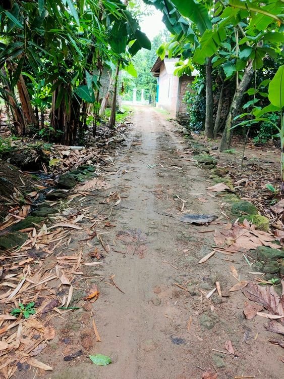 Dijual Tanah Subur 45Jt Kedawung Sragen - 5