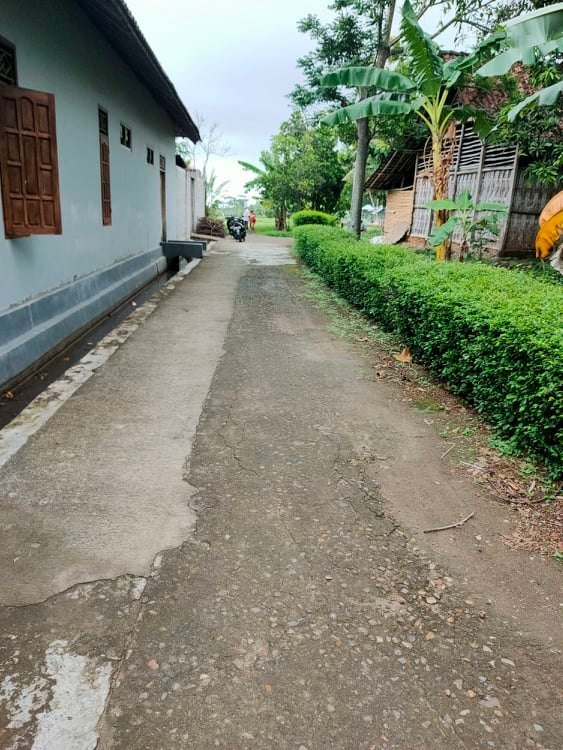 Dijual Tanah Kebun Buah View Persawahan Kedawung Sragen - 5