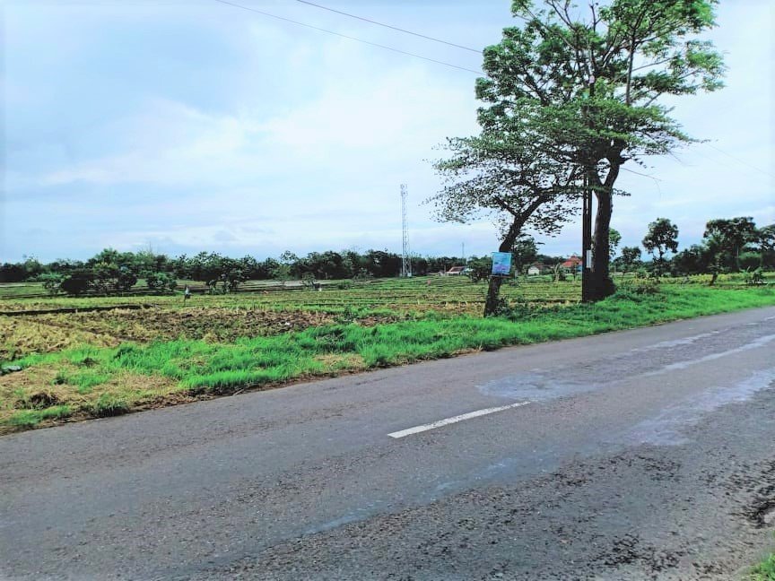 Dijual Tanah 4050m² Tepi Jl Raya Batujamus-Solo Karanganyar - 2