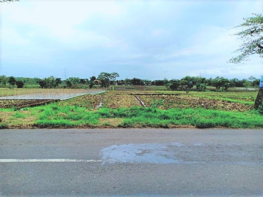 Dijual Tanah 4050m² Tepi Jl Raya Batujamus-Solo Karanganyar - 3