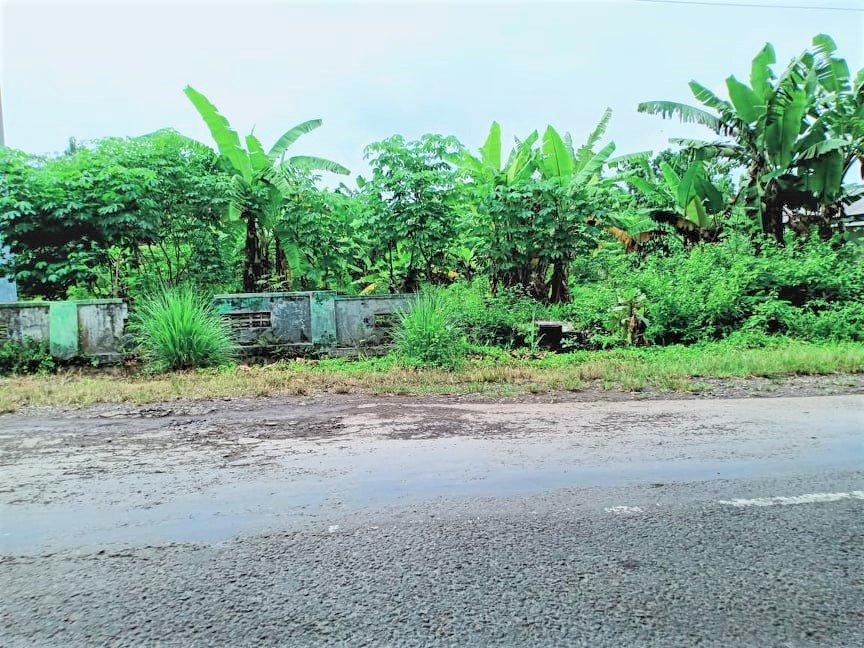 Dijual Tanah 1000m² Tepi Jl Raya Batujamus Sragen - 3