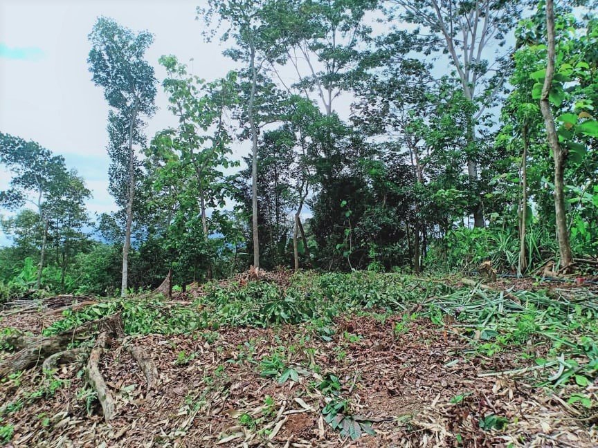 Dijual Tanah Datar 450m² Dekat Pasar Mojogedang Karanganyar - 4